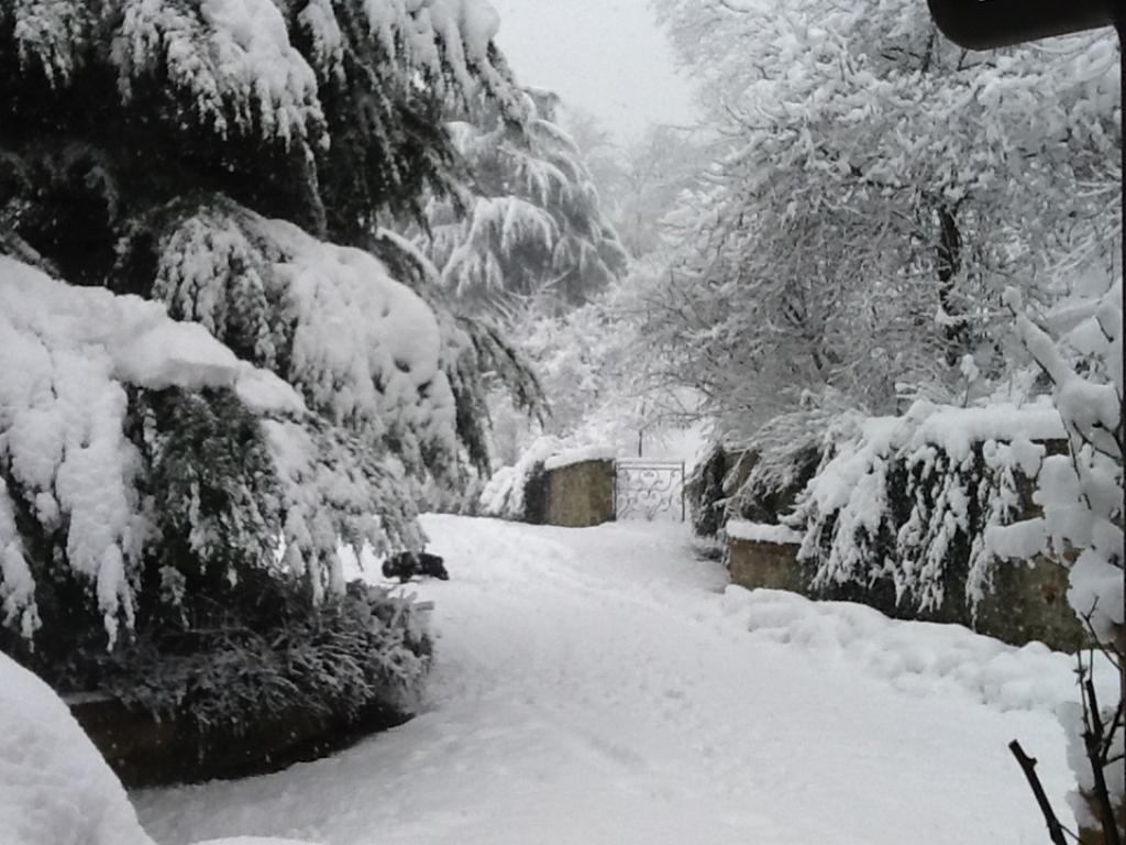 Cascina Bricco Apartamento Ovada Exterior foto